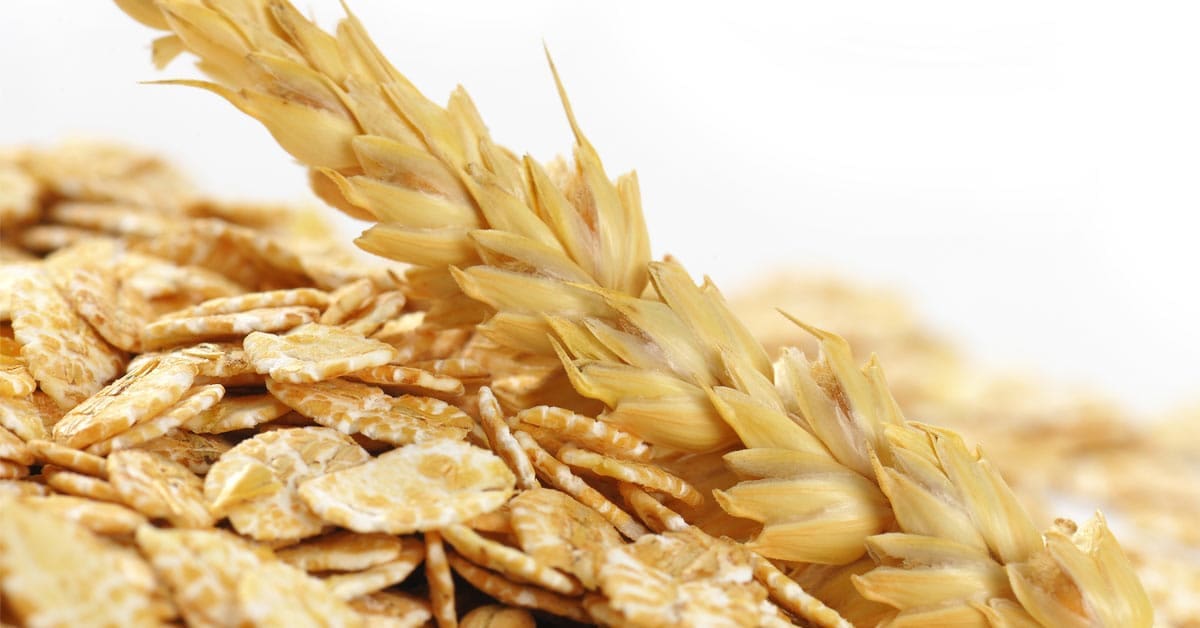 Alimentation sportive sans gluten et sans lactose Alimentation sportive sans gluten et sans lactose