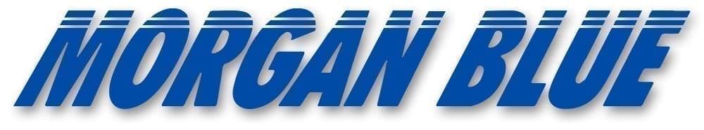 Logo Morgan Blue